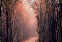 竞技宝:逆转制胜!雄狮队3比2力克缅甸.