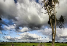 2024—2025赛季全国雪车及钢架雪车锦标赛落幕人民日报.