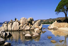 郑加恒不畏高山勇往直前 努力提升排名目标参奥.